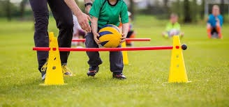 解析亚利桑那响尾蛇的防御韧性